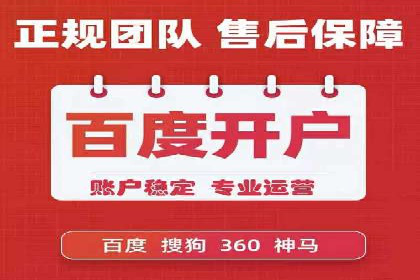 SEM推广实战：案例分析与优化